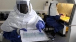 OBSH: Mbi 1900 të vdekur nga Ebola